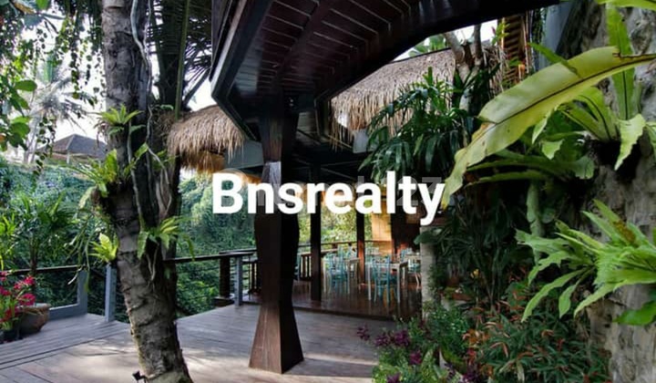 Villa Location Ubud 2