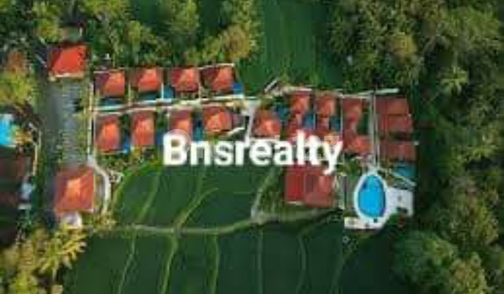 Villa Location Tegallalang 2