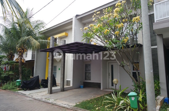 Rumah Dijual Disewakan di Cluster Green Studentia Serpong Garden 2