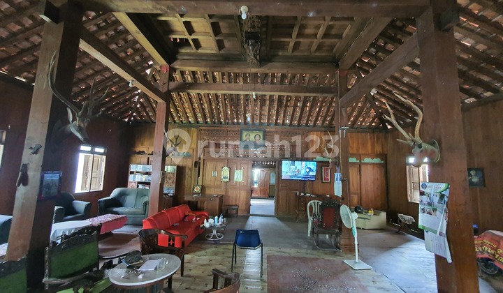 Antique Joglo House Made of Ancient Teak Wood, Hundreds of Years Old, Affordable Price