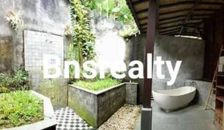 Villa Lokasi Tegallalang 2