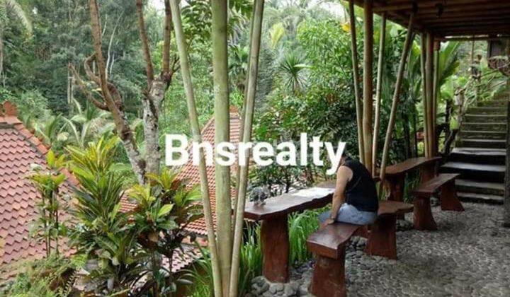 Villa Lokasi Tegallalang 1