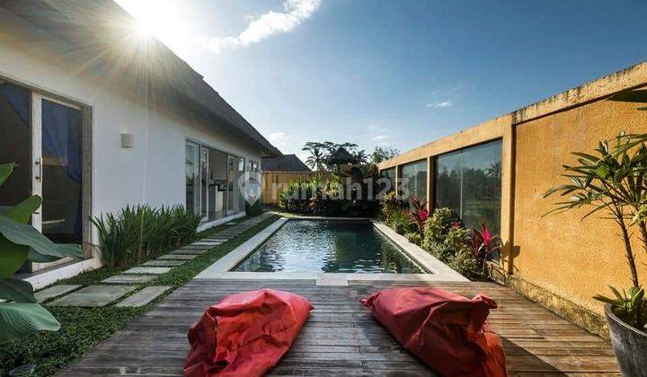 CHEAP VILLA IN UBUD NEAR CENTRAL FULL VIEW OF RICE FIELDS 2