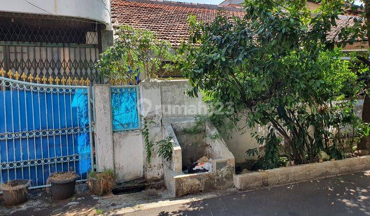 rumah lama bisa rmh kost2an atau kantor 1