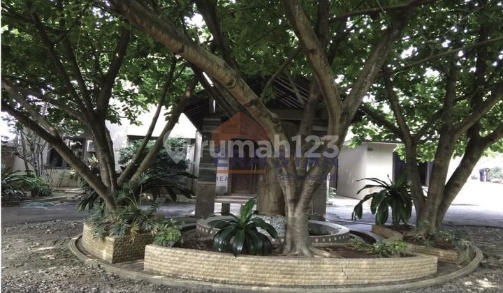 Beli Tanah harga MURAH dapat RUMAH MEWAH dan Luas di Tapos, Depok Jabar Beli Tanah harga MURAH dapat RUMAH MEWAH dan Luas di Tapos, Depok Jabar