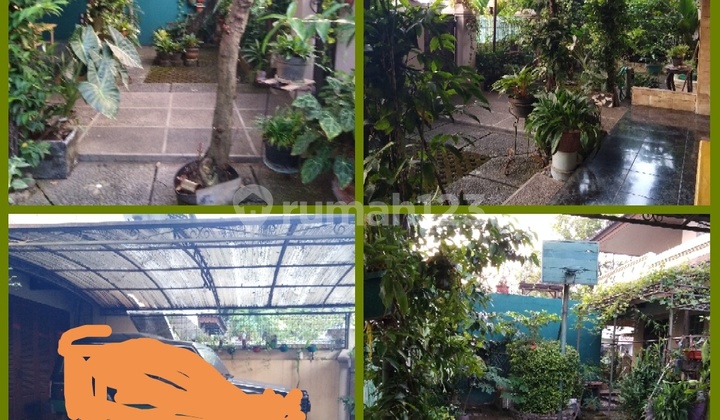 Petukangan Selatan, Jln Damai, Daerah Usaha 2