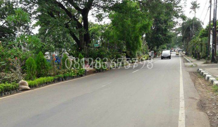 Rumah bagus ada kolam renang,di Kayu Putih Jakarta Timur 2