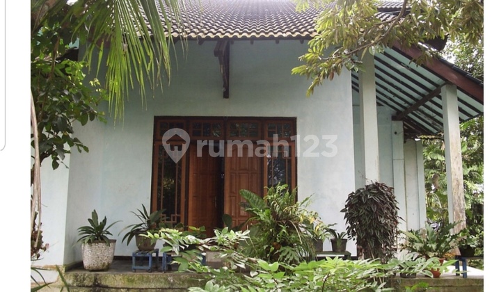 Rumah luas, lokasi strategis, pinggir jalan raya di Kalasan 2