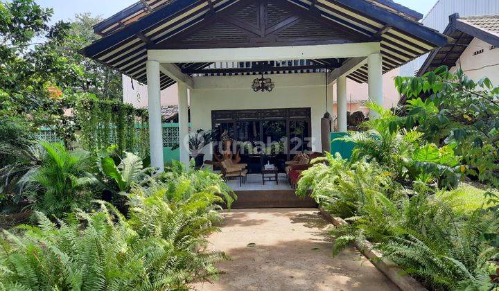 Rumah Kebun Terluas di Tengah Kota Depok 1