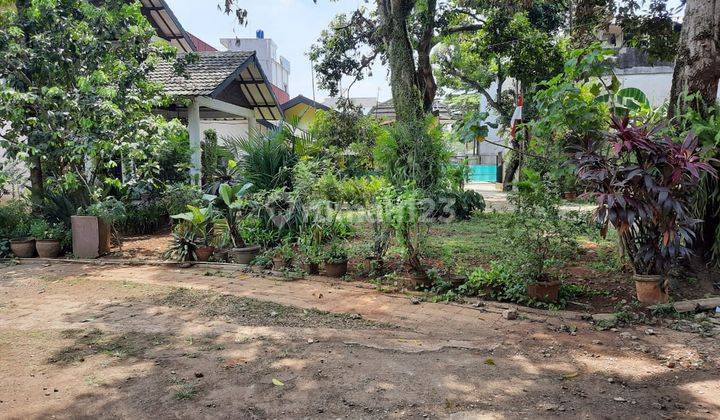 Rumah Kebun Terluas di Tengah Kota Depok 2