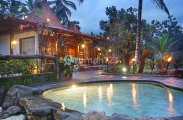 International Boutique Villa And Resto di Yogyakarta 1