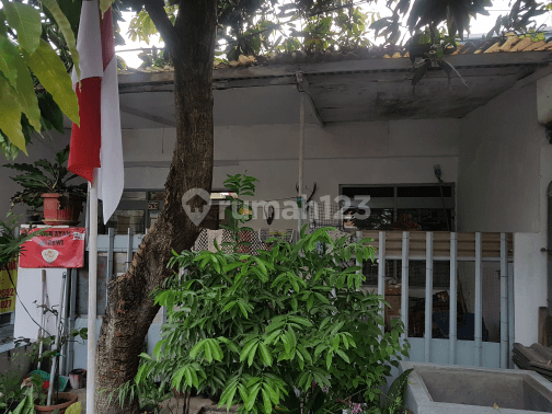 Rumah SHM 2 lantai Argo Mukti Tlogosari Tidak Banjir  1