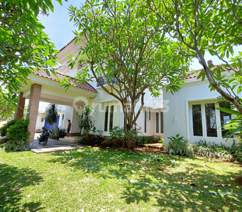 RUMAH MEWAH CILANDAK, PRIME LOCATION DEKAT GAHARU 1