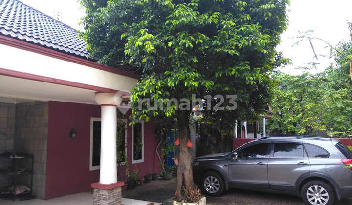 Rumah asri dijual, jalan lebar dkt kampus, mall di Grogol. 0891