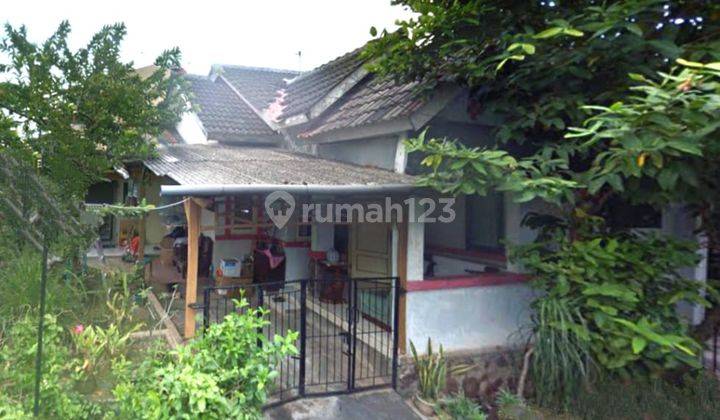 Rumah Butuh Renovasi SHM di Bukit Limau Ngaliyan,semarang  2