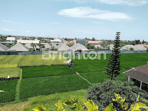 LUXURY VILLA VIEWING KEROBOKAN RICE FIELDS 1