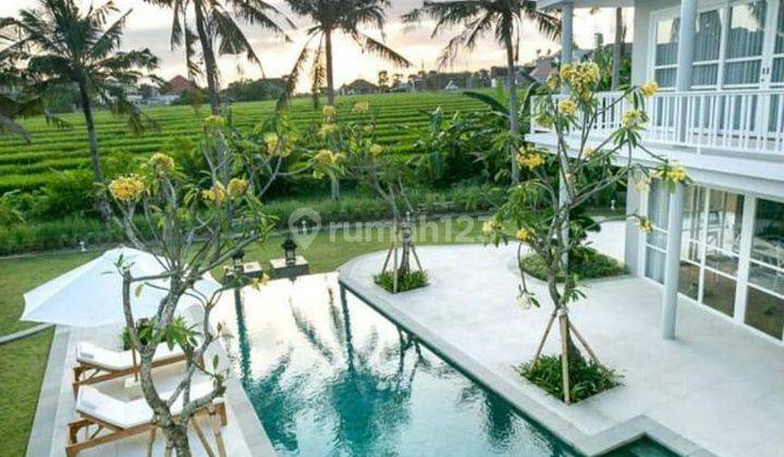 Villa berawa Canggu - Bali (FURNISHED) 1