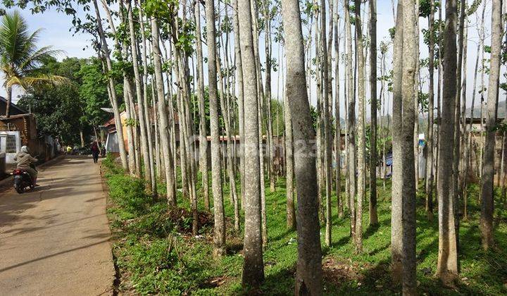 Kebun jati lt1274 hrg470jt jalan sudah di beton di paramont bandung 1