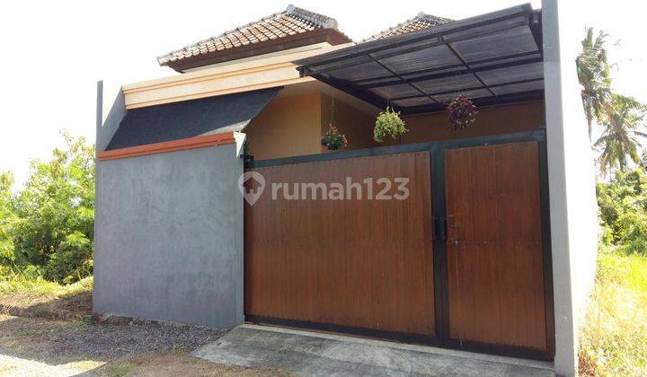 RUMAH MINIMALIS SATU LANTAI UBUD 1