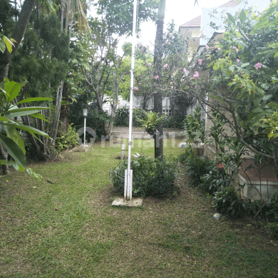 Rumah tua yang luas 2