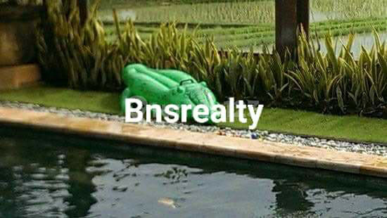 Villa Lokasi Pererenan 1