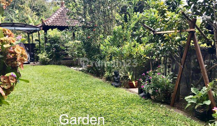 Rumah cantik terawat dengan lahan luas dan suasana pedesaan 1