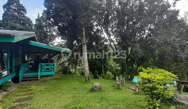 Villa Asri dan Nyaman Harga Murah di Ciloto, Puncak Bogor Villa Asri dan Nyaman Harga Murah di Ciloto, Puncak Bogor