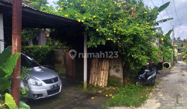 Guest house bagus dan murah di ubud siap huni 2