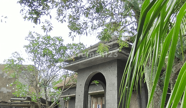 Rumah Ethnic Tropical Style Terrace Golf 18M 1