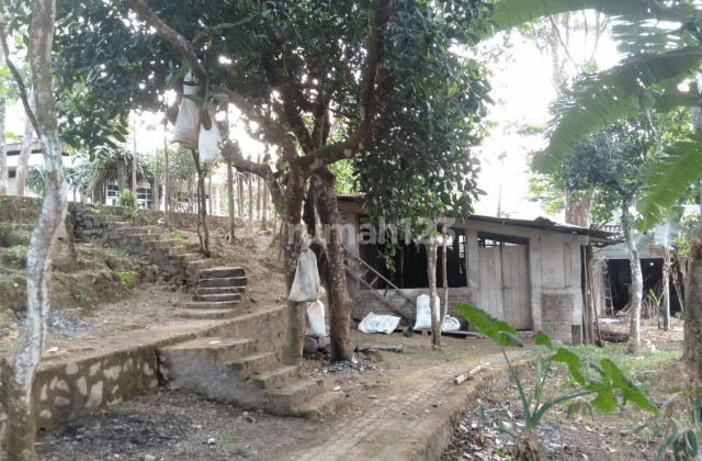 RUMAH VILLA TRAWAS, WISATA RECO LANANG & HUTAN CAGAR BUDAYA 2