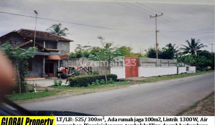 rumah walet di pinggir jalan pesawaran 1