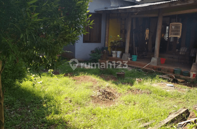 Rumah asri dan terawat di Cinere 2