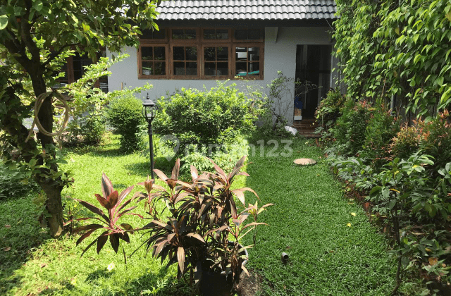 Rumah asri di Kemang Timur 1