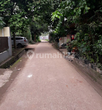 rumah rindang pinggir jalan 2
