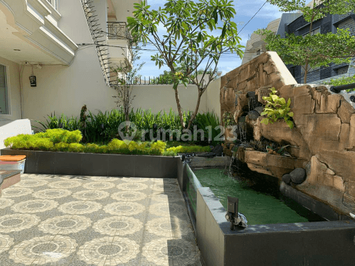 Rumah Pluit Permai  Siap Huni 2