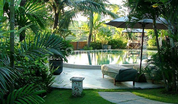 4 Bedrooms Villa with huge land size in Batu Bolong, Canggu. 2