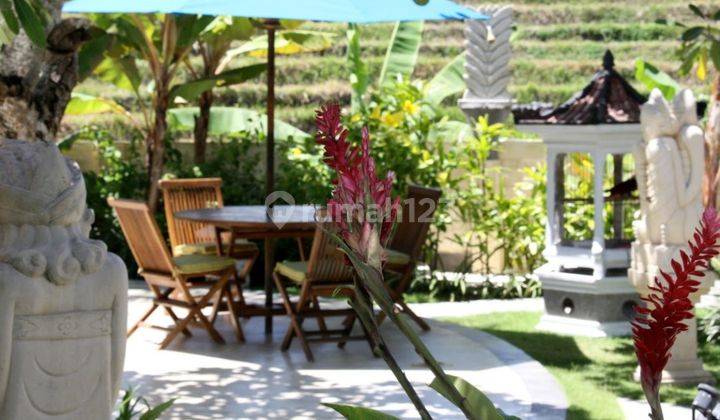 4 Bedrooms Villa with huge land size in Batu Bolong, Canggu. 1