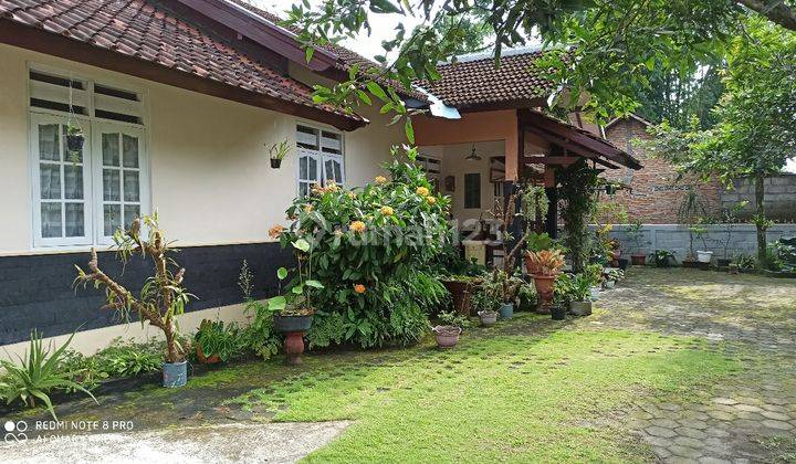 RUMAH LAWAS TERAWAT 2