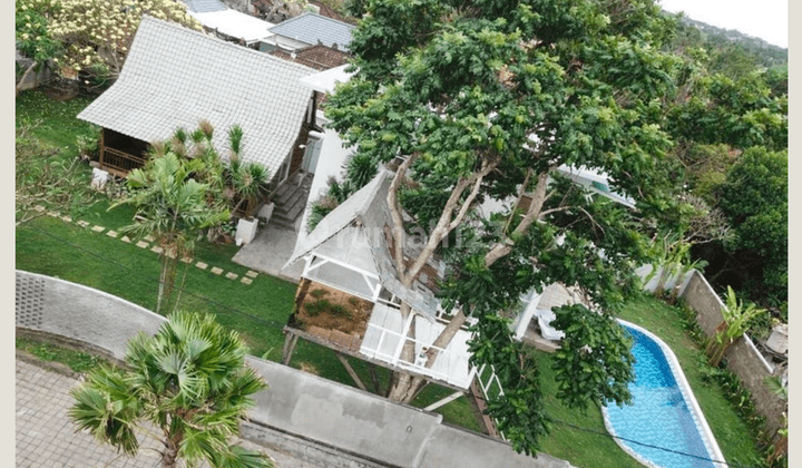 Villa 4 Br Luxury Modern Canggu Bisa Long Term Juga 2