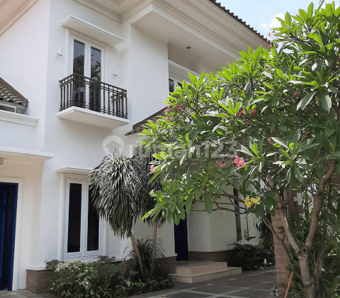 Rumah Mewah di Cipete dengan kolam renang dan taman 2