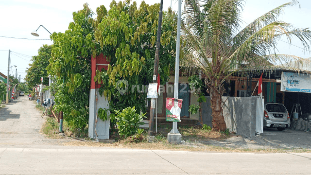 Rumah Hook cocok untuk Usaha 2