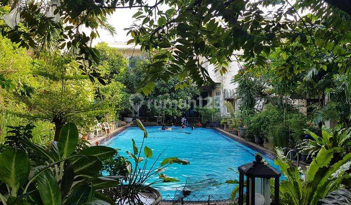 Rumah Mewah Siap Huni, Ada Kolam Renang Ukuran 6m X 16m, Ada Bangunan Tambahan Paviliun di Polonia Otista, Jakarta Timur, Hub 0813 1838 Satu Delapan Tiga Delapan 2