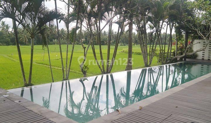 1st floor villa near public facilities in Lodtunduh 1