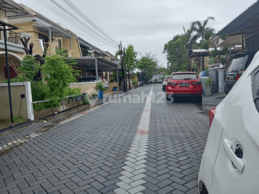 Rumah Disewakan di Tengah Kota 2