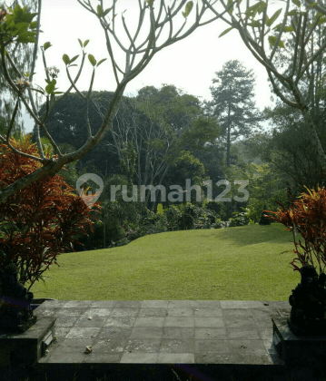 villa unik dan cantik dan cozy di cisarua 2