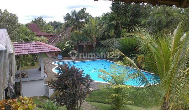 Villa 3400m Palagan, Kolam Renang + Joglo Berkaca Modern + Taman Luas Rumah TER-Elegan 1