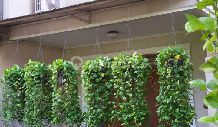 Rumah 2 Lantai Bagus di Kebayoran Baru 2