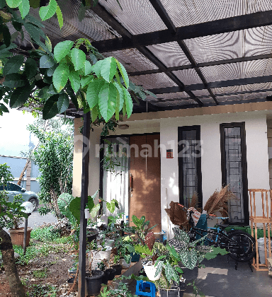 Rumah Minimalis Murah Ada Club House Di Bintaro Terrace  2