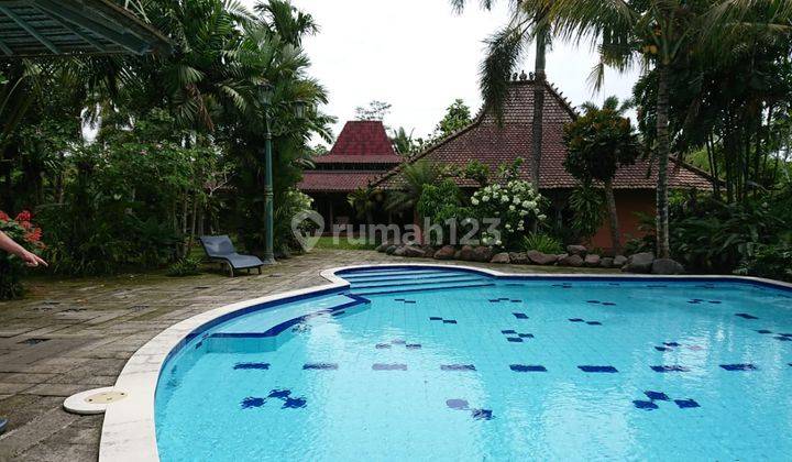 Villa 3400m Palagan Jogja, Rumah Ressort Kolam Renang Joglo Manja 1