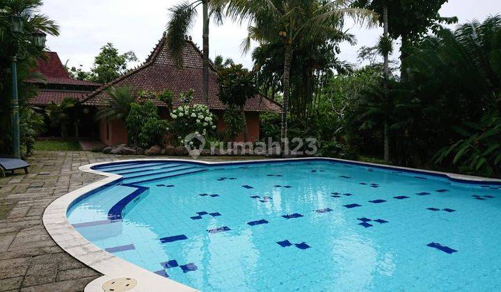 Villa 3400m Palagan Jogja, Rumah Ressort Kolam Renang Joglo Manja 2